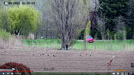 Welche Zoom-Faktoren gibt es bei einer Überwachungskamera - von GermanProtect live demonstriert! 