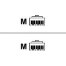 Roline - Patch-Kabel - RJ-45 (M) bis RJ-45 (M) - 2 m - SFTP - CAT 5e
