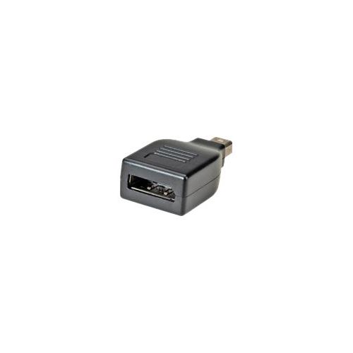 Roline - DisplayPort-Adapter - DisplayPort (W) bis Mini DisplayPort (M) - Schwarz