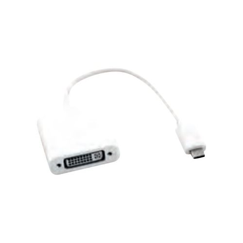 Roline - Externer Videoadapter - USB Type-C - DVI - Silber, Aluminium
