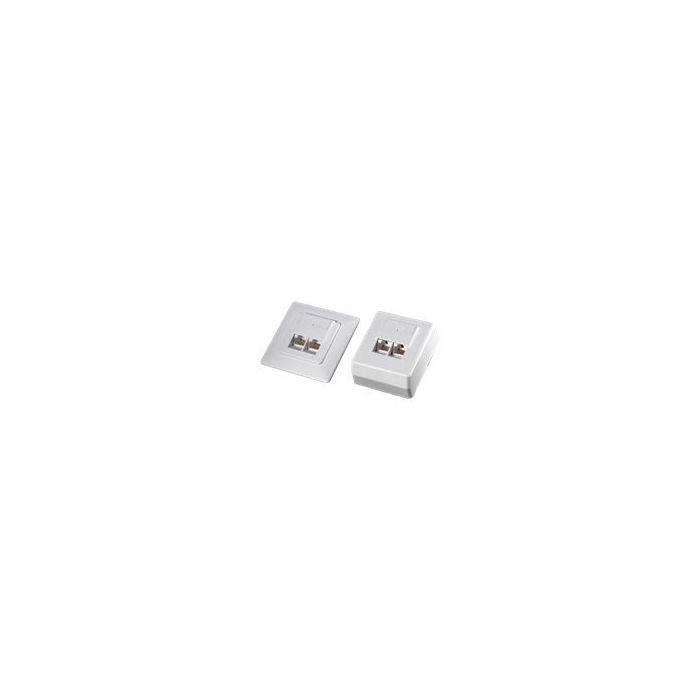 Rotronic Value - Installationskasten Netzwerkoberfläche - Wand montierbar - RJ-45 X 2 - weiß