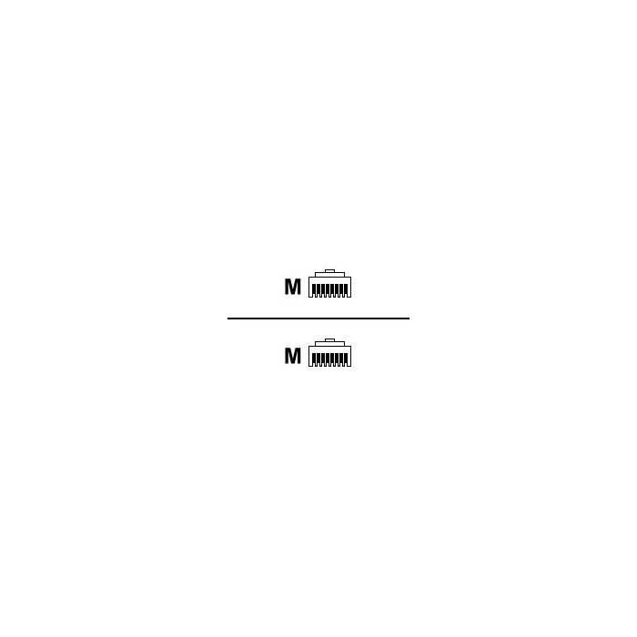 Roline - Patch-Kabel - RJ-45 (M) bis RJ-45 (M) - 2 m - FTP - CAT 5e
