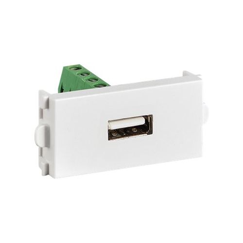VALUE A/V Modules - Modulare Eingabe - USB Type A - weiß (Packung mit 20)