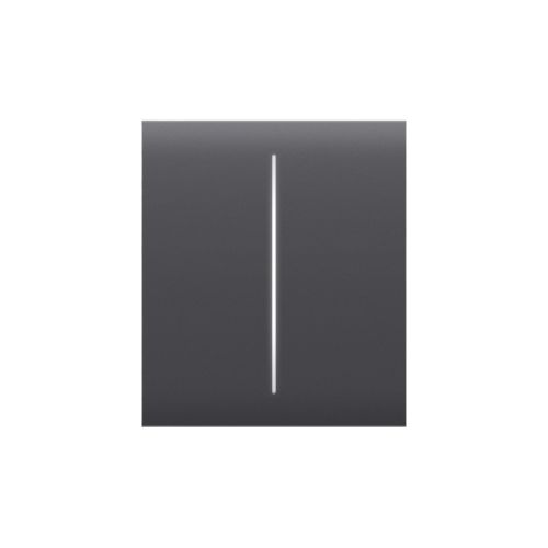 Ajax CenterButton (2-gang) [55] graphite Intelligenter Lichtschalter