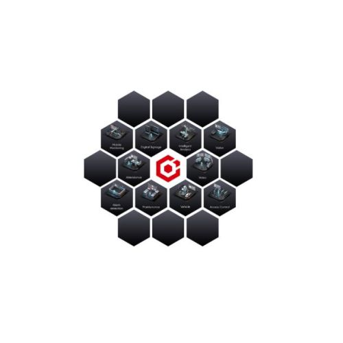 HIKVISION HikCentral-P-BI Report/Module