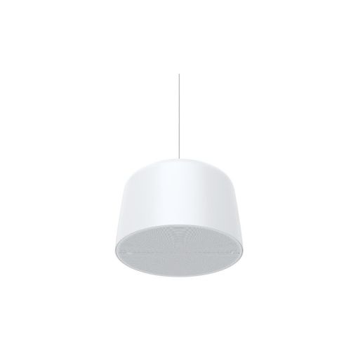 AXIS C1510 NETWORK PENDANT SPE PoE weiß