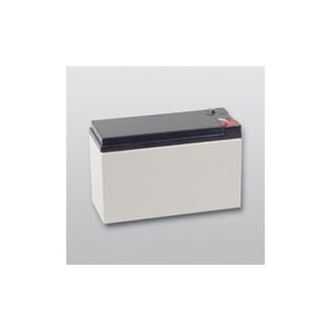 TELENOT Wartungsfreier Blei-Akku 12 V/7 Ah