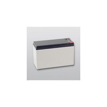 TELENOT Wartungsfreier Blei-Akku 12 V/7 Ah