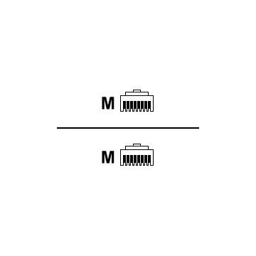 Roline - Patch-Kabel - RJ-45 (M) bis RJ-45 (M) - 2 m - SFTP - CAT 6a