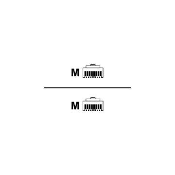 Roline - Patch-Kabel - RJ-45 (M) bis RJ-45 (M) - 2 m - SFTP - CAT 6a