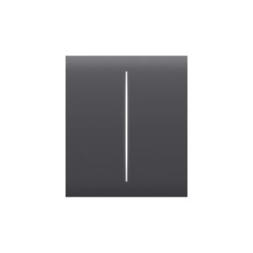 Ajax CenterButton (2-gang) [55] graphite Intelligenter Lichtschalter