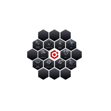 HIKVISION HikCentral-P-BI Report/Module