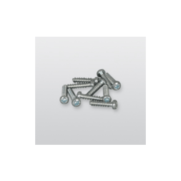 Telenot WN1412 PT-Schraube