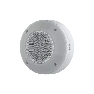 AXIS D4200-VE All-in-One-Lautsprecher mit Blitzlicht
