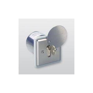 Telenot Freischaltelement PZ