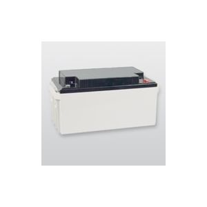 Telenot Wartungsfreier Blei-Akku 12 V/65 Ah
