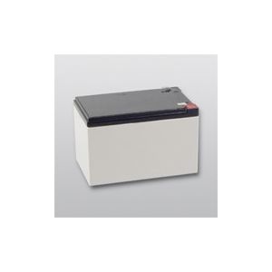 Telenot Wartungsfreier Blei-Akku 12 V/12 Ah